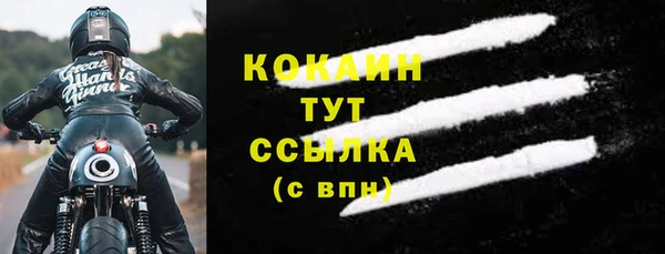 прущие грибы Волоколамск