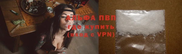прущие грибы Волоколамск