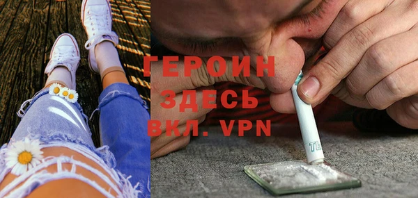 прущие грибы Волоколамск