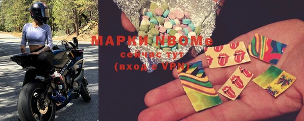 прущие грибы Волоколамск