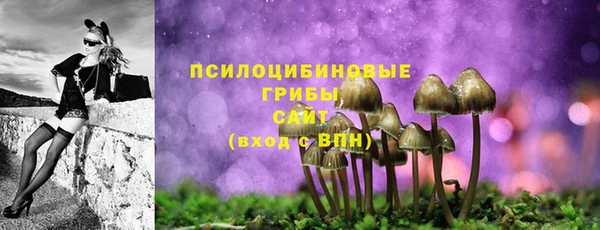 прущие грибы Волоколамск