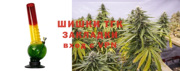 прущие грибы Волоколамск