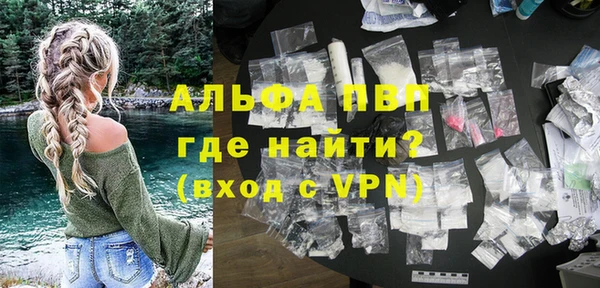 прущие грибы Волоколамск