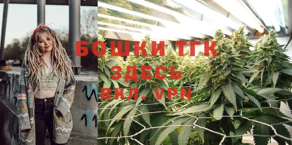 прущие грибы Волоколамск