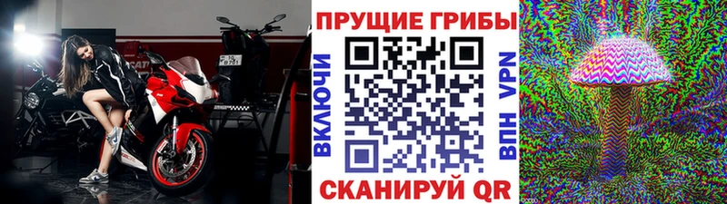 Галлюциногенные грибы мухоморы  наркотики  mega ССЫЛКА  Пестово 